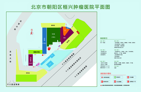 大鸡巴操逼性片北京市朝阳区桓兴肿瘤医院平面图